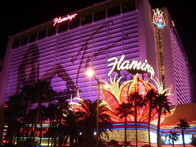 Uovertruffen Human lidenskabelig Flamingo Hotel