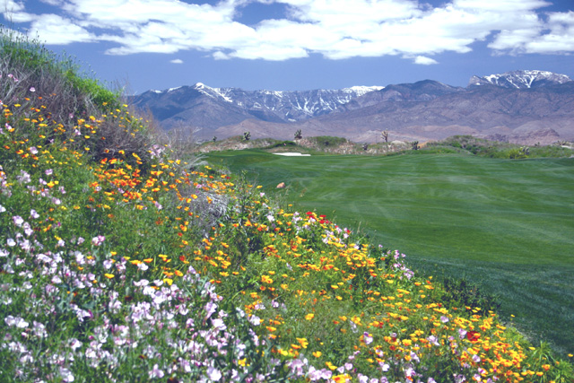 Get 4 Nights Free When You Golf Las Vegas!