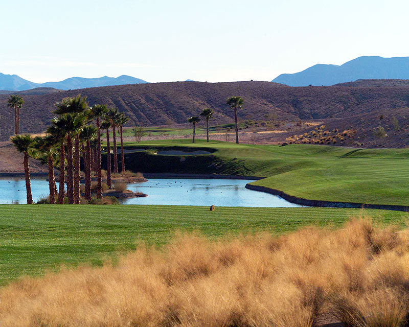 Group Golf Travel In Las Vegas Are you Paying too Much